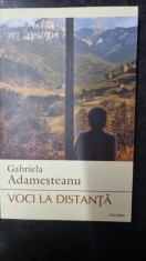 Voci la distanta - Gabriela Adamesteanu foto