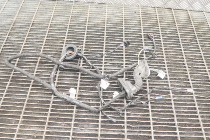 Cablaj ușă dreapta spate TESLA MODEL 3 2019 OEM: 2067966-00-A 12476279