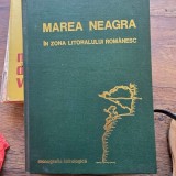 Marea Neagra in zona litoralului romanesc