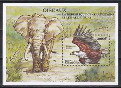 Centrafricana 2000 - Faună, Coliță, MNH foto