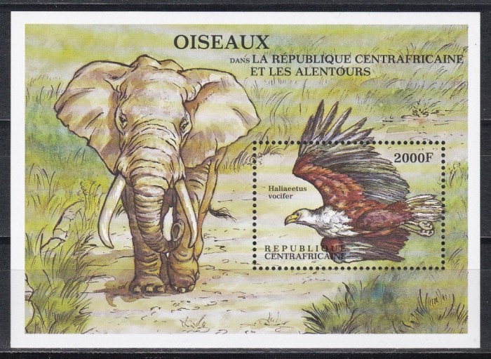 Centrafricana 2000 - Faună, Coliță, MNH
