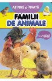 Atinge si invata. Familii de animale, Autor Anonim
