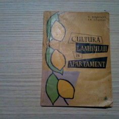 CULTURA LAMIIULUI IN APARTAMENT - T. Bordeianu, Gh. Stanciu - 1966, 98 p.