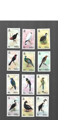 belize pasari mnh foto
