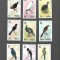 belize pasari mnh