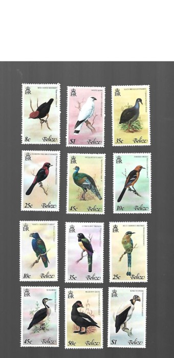belize pasari mnh