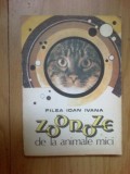 N1 Zoonoze de la animale mici - Filea Ioan Ivana
