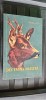 Din Fauna Noastra - Ionel Pop, Carte Hobby, Stare Foarte Buna