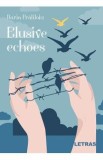 Elusive echoes - Daria Fratiloiu