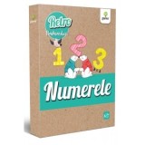 Retro Flashcard: Numerele