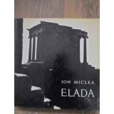 ELADA-ION MICLEA-228553