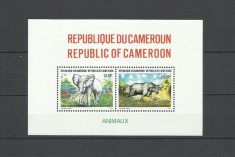 CAMERUN 1991 FAUNA ELEFANTI BIVOLI SALBATICI foto
