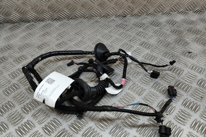 Cablaj ușă st&acirc;nga spate TESLA MODEL 3 2022 OEM: 2067965-00-B 25408564