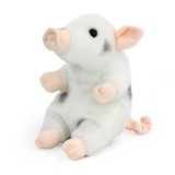 Pui de Purcel de Juliana de plus 17 cm in cutie , Living Nature