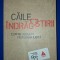 Ayala Malach Pines - Căile &icirc;ndrăgostirii * Cum ne alegem persoana iubita
