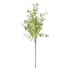 Ramură Decorativă Artificială, Frunze Verzi, 42cm, Plastic, Oem