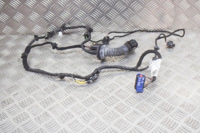 Cablaj ușă dreapta față MASERATI QUATTROPORTE VI 2014 OEM: 06700093500 12215572 foto