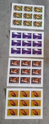 ANGOLA PASARI 4 MINI COLI NEDANTELATE MNH foto