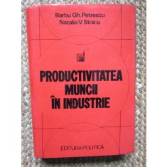 PRODUCTIVITATEA MUNCII IN INDUSTRIE - BARBU GH. PETRESCU, NATALIA V. STOICA