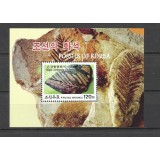 COREEA DE NORD 2004 FOSILE