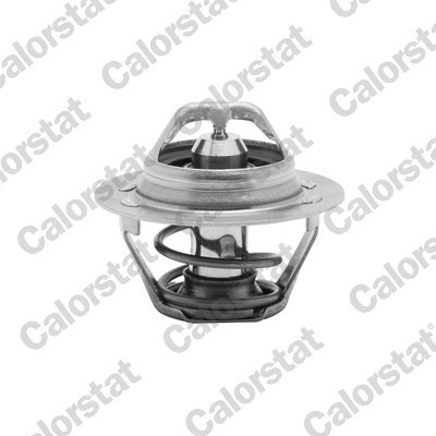 CALORSTAT by Vernet TH6047.89J termostat,lichid racire foto