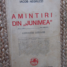 Iacob Negruzzi - Amintiri din Junimea 1939