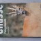 Pascal Durantel - Chasse . L&#039;Encyclopedie 2003, 607 p. Enciclopedie de vanatoare