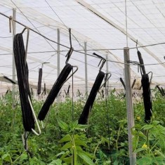 Carlig de palisare- 18 cm-1000 buc