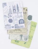 Set 4 carnete - Physical Science Pocket Notebooks | Cognitive Surplus
