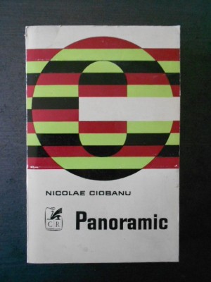 Nicolae Ciobanu - Panoramic foto