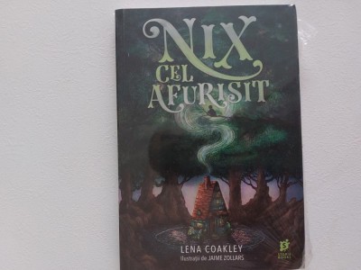 Nix cel afurisit Lena Coakley foto