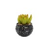 Vas Rotund Cu Planta Suculenta, Verde, Plastic, 8Cm ComfortTravel Luggage, Ella Home