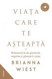 Cumpara ieftin Viata Care Te Asteapta, Brianna Wiest - Editura Nemira