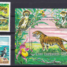 DB1 Fauna Animale pe cale de disparitie 1977 Comore 2 v. PA + SS MNH