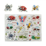 Puzzle Incastru din lemn cu Insecte in limba romana, 7Toys