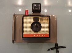 Polaroid Big Swinger Model 3000 foto