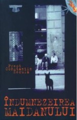 Indumnezeirea maidanului - Constantin Necula