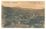 393 - BAIA MARE, Panorama, Romania - old postcard - unused, Necirculata, Printata