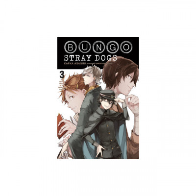 Bungo Stray Dogs, Vol. 3 (Light Novel): The Untold Origins of the Detective Agency foto