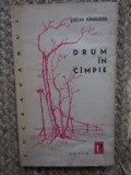 Stefan Banulescu - Drum in campie SEMNATURA ION BANUTA