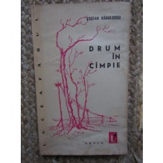 Stefan Banulescu - Drum in campie SEMNATURA ION BANUTA