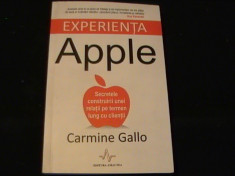 EXPERIENTA APPLE-CARMINE GALLO-277 PG- foto