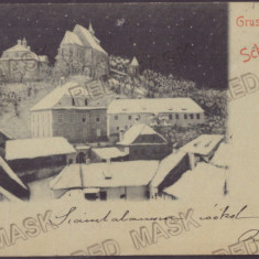 1016 - SIGHISOARA, Litho, Romania - old postcard - used - 1899