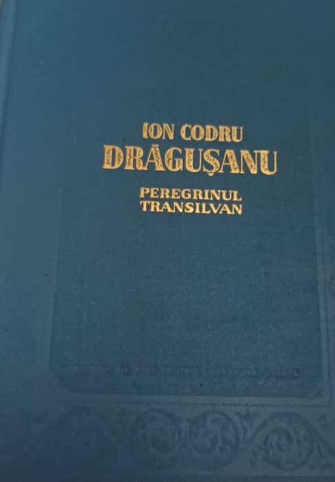 PEREGRINUL TRANSILVAN ION CODRU DRAGUSANU