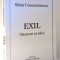 EXIL - OAMENI SI IDEI de SILVIA CONSTANTINESCU , 1995