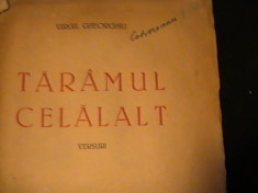 TARIMUL CELALALT--VIRGIL GHEORGHIU-VERSURI- foto