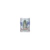 Angel Sanctuary: Volume 19