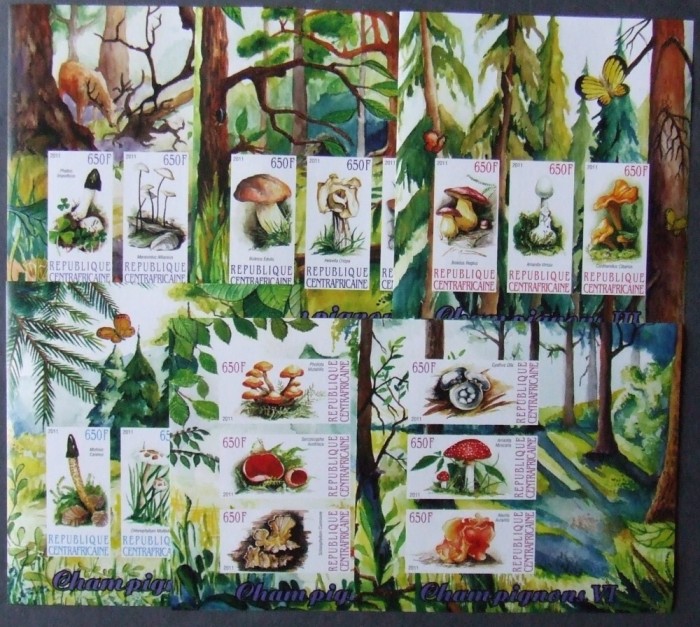 R.CENTRAFRICA - CIUPERCI -2011, 6 M/SH, NEOBLIT.NEDANTELATE-MNH** - R CAF 036