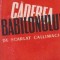 Caderea Babilonului