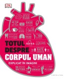 Cumpara ieftin Totul despre corpul uman